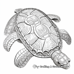 Intricate Loggerhead Turtle Shell Coloring Pages 3