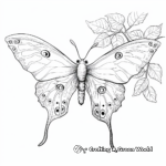 Intricate Luna Moth Coloring Sheets for Adults 2