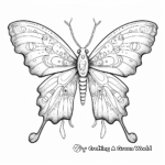 Intricate Luna Moth Coloring Sheets for Adults 4