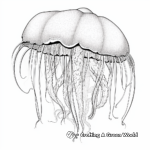 Intricate Portuguese Man-of-War Jellyfish Coloring Page for Adults 2