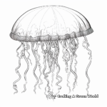 Intricate Portuguese Man-of-War Jellyfish Coloring Page for Adults 3