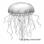 Intricate Portuguese Man-of-War Jellyfish Coloring Page for Adults 4