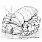 Intricate Seashell Hermit Crab Coloring Pages 1