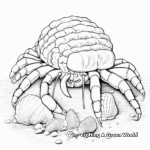 Intricate Seashell Hermit Crab Coloring Pages 2