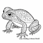 Intricate Sketched Poison Dart Frog Coloring Pages for Adults 3