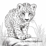 Intricate Snow Leopard Coloring Pages 3