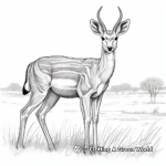 Intricate Springbok Gazelle Coloring Pages 1
