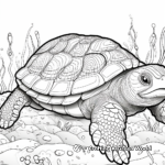 Intricately Shaded Snapping Turtle Coloring Pages for Adults 4