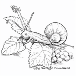 Invasive Species: Brown Garden Snail 1