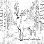 January Wildlife: Winter Animals Coloring Pages 1