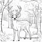 January Wildlife: Winter Animals Coloring Pages 2
