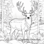 January Wildlife: Winter Animals Coloring Pages 3