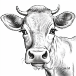 Jersey Cow Face Coloring Pages 3