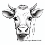Jersey Cow Face Coloring Pages 4
