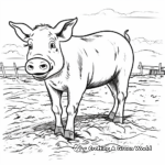 Jolly Farm Pig in Mud Coloring Pages 1