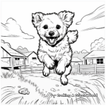 Jumping Maltipoo Action Shot Coloring Pages 1
