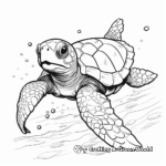 Kemp's Ridley Sea Turtle Coloring Pages 2