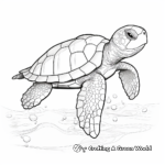 Kemp's Ridley Sea Turtle Coloring Pages 3