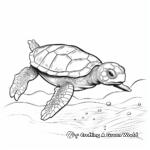 Kemp's Ridley Sea Turtle Coloring Pages 4