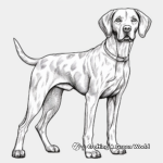 Kid-Friendly German Shorthaired Pointer Coloring Pages 1