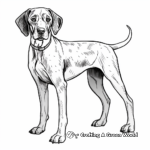 Kid-Friendly German Shorthaired Pointer Coloring Pages 3
