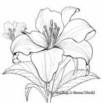 Kids' Favorite Easter Lily Coloring Pages 1