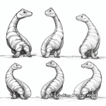 Komodo Dragon Life Cycle Stages Coloring Pages 1