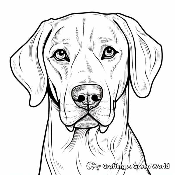 Dog Head Coloring Pages - Free &amp; Printable!
