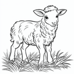 Lamb of God Coloring Pages 4