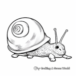 Land Snail Coloring Pages for Kids 4