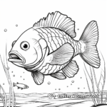 Large Mouth Bluegill Fish Coloring Pages 2