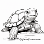 Large Tortoise Coloring Pages 1