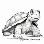 Large Tortoise Coloring Pages 3