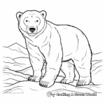 Learning with Polar Bears: Educational Coloring Pages 2