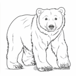 Learning with Polar Bears: Educational Coloring Pages 3