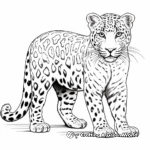 Leopard Spotted Panther Coloring Pages 3