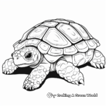 Leopard Tortoise Coloring Pages for Kids 3