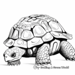 Leopard Tortoise Coloring Pages for Kids 4