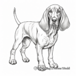 Lifelike Basset Hound Coloring Pages 1