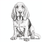 Lifelike Basset Hound Coloring Pages 2