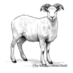 Lifelike Bighorn Sheep Coloring Pages 3