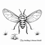 Lightning Bug Life Cycle Coloring Pages 1