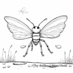 Lightning Bug Life Cycle Coloring Pages 2