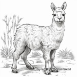 Llama and Unicorn Transformation: Llamacorn Coloring Pages 2