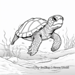 Loggerhead Sea Turtle Coloring Pages for Kids 2