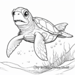 Loggerhead Turtle Coloring Pages 4