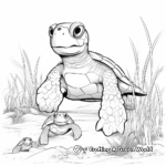 Loggerhead Turtle Family Coloring Pages: Male, Female, and Hatchlings 2