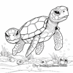 Loggerhead Turtle Family Coloring Pages: Male, Female, and Hatchlings 3