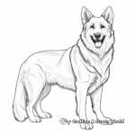 Long-Haired German Shepherd Coloring Pages 2