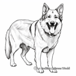 Long-Haired German Shepherd Coloring Pages 3